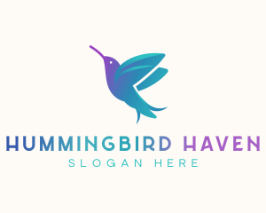 Hummingbird Avian Creative logo design