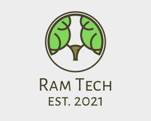 Ram Tree Forest  logo design