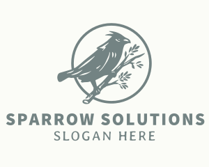 Sparrow Tree Branch logo design