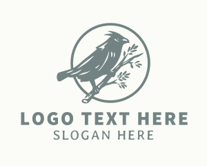 Branch - Sparrow Tree Branch logo design