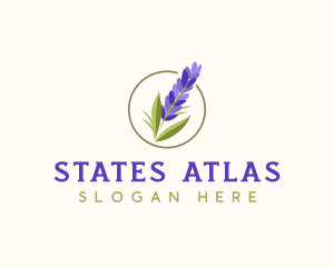 California Lavender Flower logo design