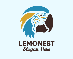 Feathers - Tropical Parrot Head logo design