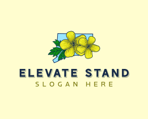 Connecticut Flower Bloom Logo