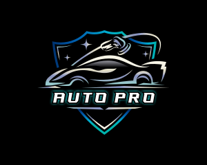 Car Auto Detailing logo design
