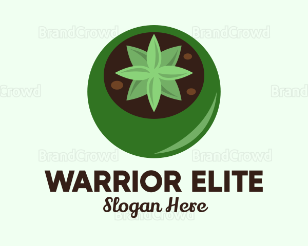 Potted Succulent Cactus Logo