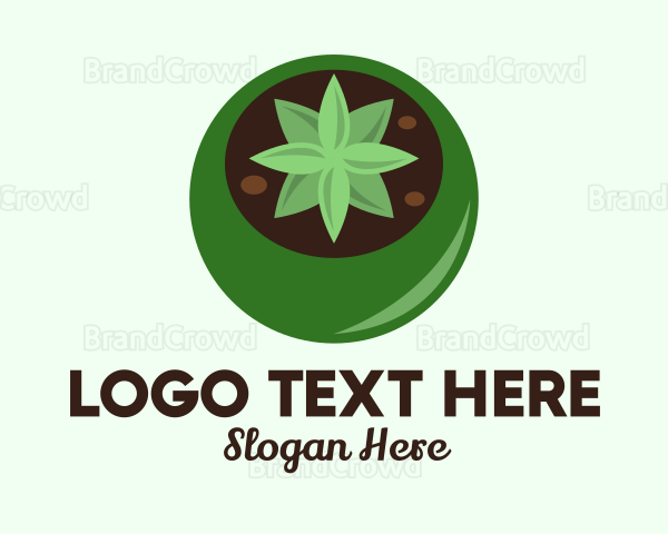 Potted Succulent Cactus Logo