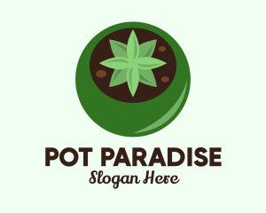 Pot - Potted Succulent Cactus logo design