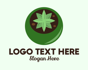 Potted Succulent Cactus  Logo