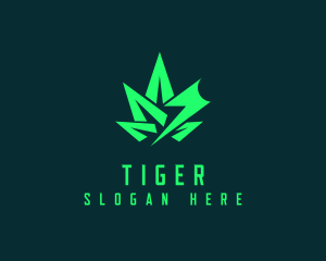 Cbd - Medicinal Cannabis Thunder logo design