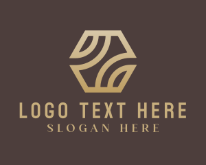 Hexagon - Professional Agency Letter Z logo design