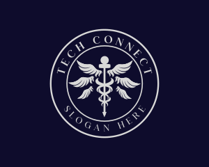 Physical Examination - Caduceus Staff Wings Hospital logo design