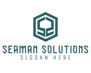 Business Hexagon Letter S logo design