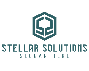 Business Hexagon Letter S logo design