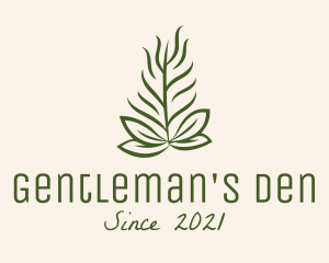 Botanical Plant Garden logo design