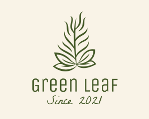 Botanical Plant Garden logo design