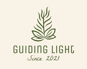 Botanical Plant Garden logo design