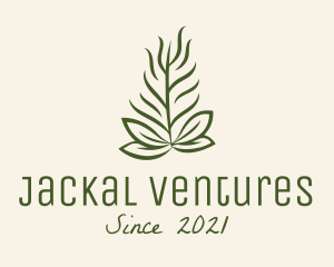 Botanical Plant Garden logo design