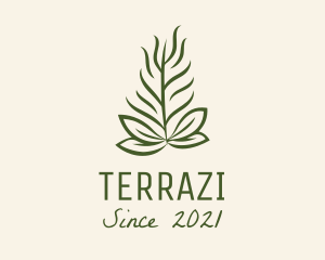 Botanical Plant Garden logo design