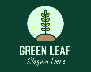 Plant - Nature Conservation Planting logo design
