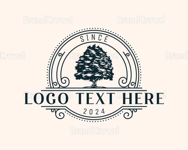 Eco Park Tree Logo