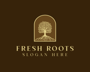 Tree Roots Plant logo design