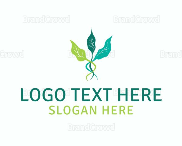 Leaf Sprout Vine Logo