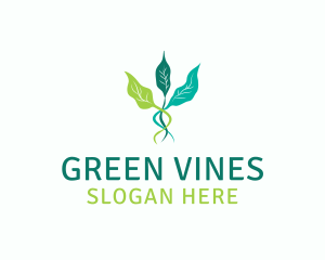 Leaf Sprout Vine logo design