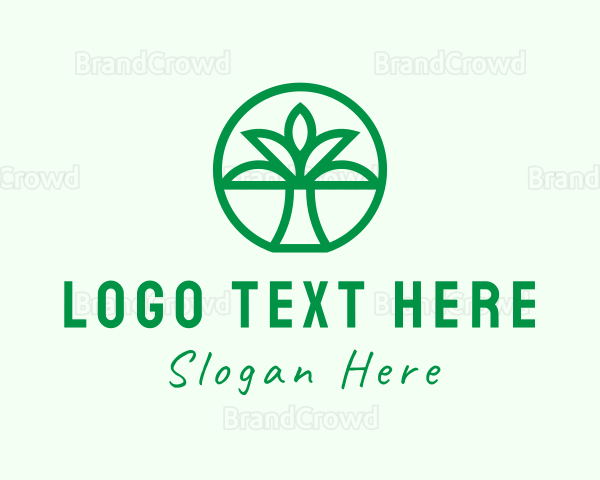 Palm Tree Forest Logo