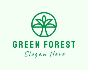 Palm Tree Forest logo design