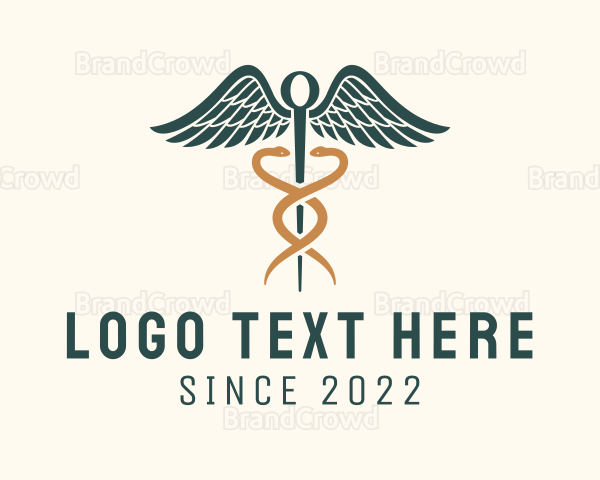 Healthcare Caduceus Staff Logo