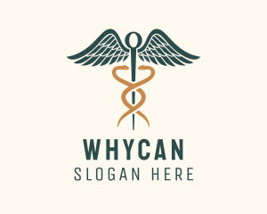 Healthcare Caduceus Staff Logo