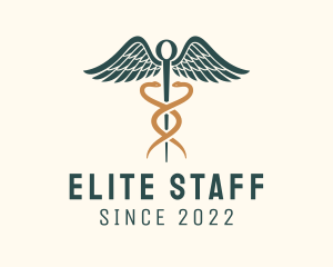 Staff - Healthcare Caduceus Staff logo design