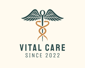Healthcare - Healthcare Caduceus Staff logo design