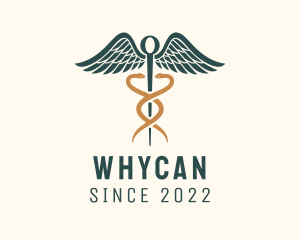 Veterinarian - Healthcare Caduceus Staff logo design