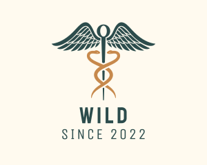 Staff - Healthcare Caduceus Staff logo design