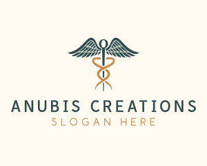 Healthcare Caduceus Staff logo design