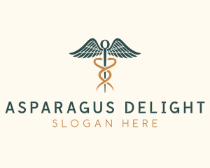 Healthcare Caduceus Staff logo design