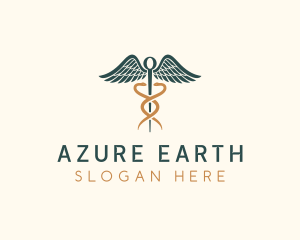 Healthcare Caduceus Staff logo design