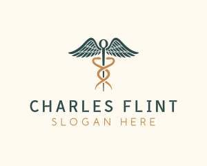 Healthcare Caduceus Staff logo design