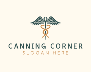 Healthcare Caduceus Staff logo design