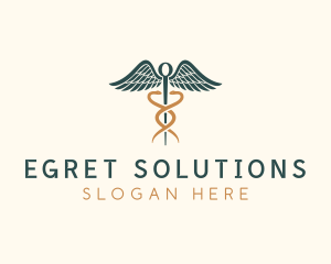 Healthcare Caduceus Staff logo design