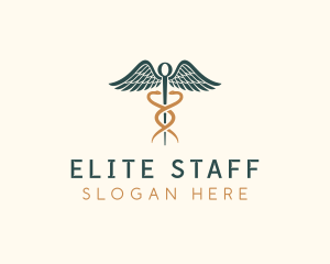 Healthcare Caduceus Staff logo design