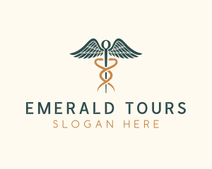 Healthcare Caduceus Staff logo design