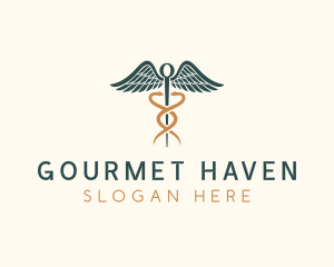 Healthcare Caduceus Staff logo design