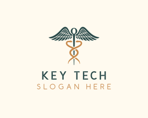 Healthcare Caduceus Staff logo design