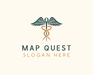 Healthcare Caduceus Staff logo design