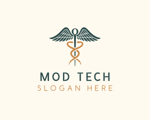 Healthcare Caduceus Staff logo design