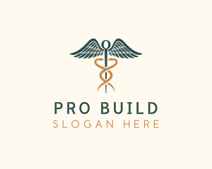 Healthcare Caduceus Staff logo design