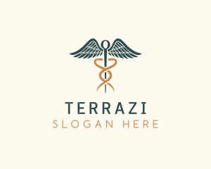 Healthcare Caduceus Staff logo design