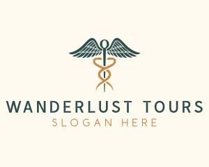 Healthcare Caduceus Staff logo design